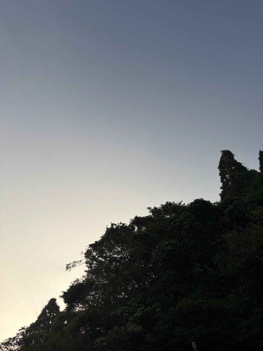RX7FD3Shim's tweet photo. おはようさんです☀️

9月26日 台風襲来の日
今朝は22.4℃

木々のシルエットと朝の柔らかい光がきれい🤩

今日も良き日に👍
本日もよろしくでーす💖✨ https://t.co/eNB1l5gcDU