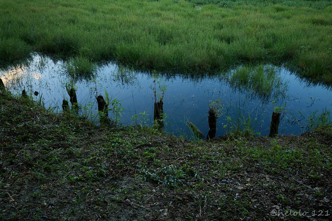 HELOLO_21's tweet photo. Oneday

#写真好きな人と繋がりたい
#写真で伝える私の世界
#landscapephotography
#photograph https://t.co/OGEUlFor9f