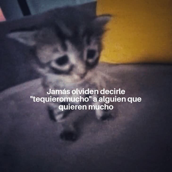 minidramatica's tweet photo. https://t.co/2JnYr6wUZR