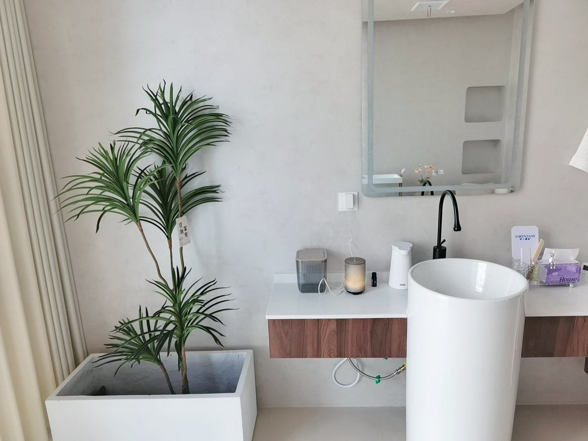 TamaHoback's tweet photo. Hoy, la esencia única de Tan Shousha crea un ambiente cálido y elegante, disfrutemos este momento. https://t.co/zvMeykT5JO