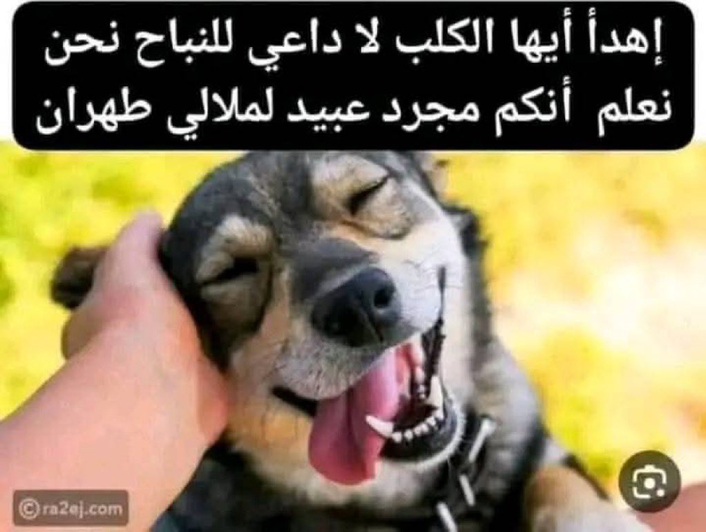 s_snami1's tweet photo. @Alfox1887626 @Dirghqm https://t.co/SF7OeNle5f