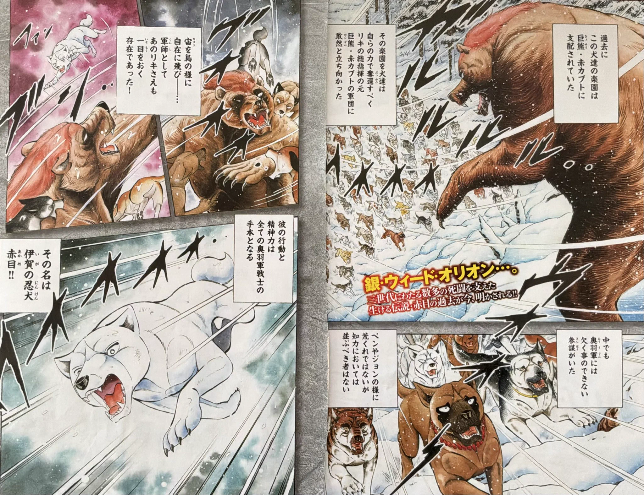 1893年 3面金張り ジャン・ディボフスキィ 未発表イラスト136点 研究書 kojiro1888 on X: 