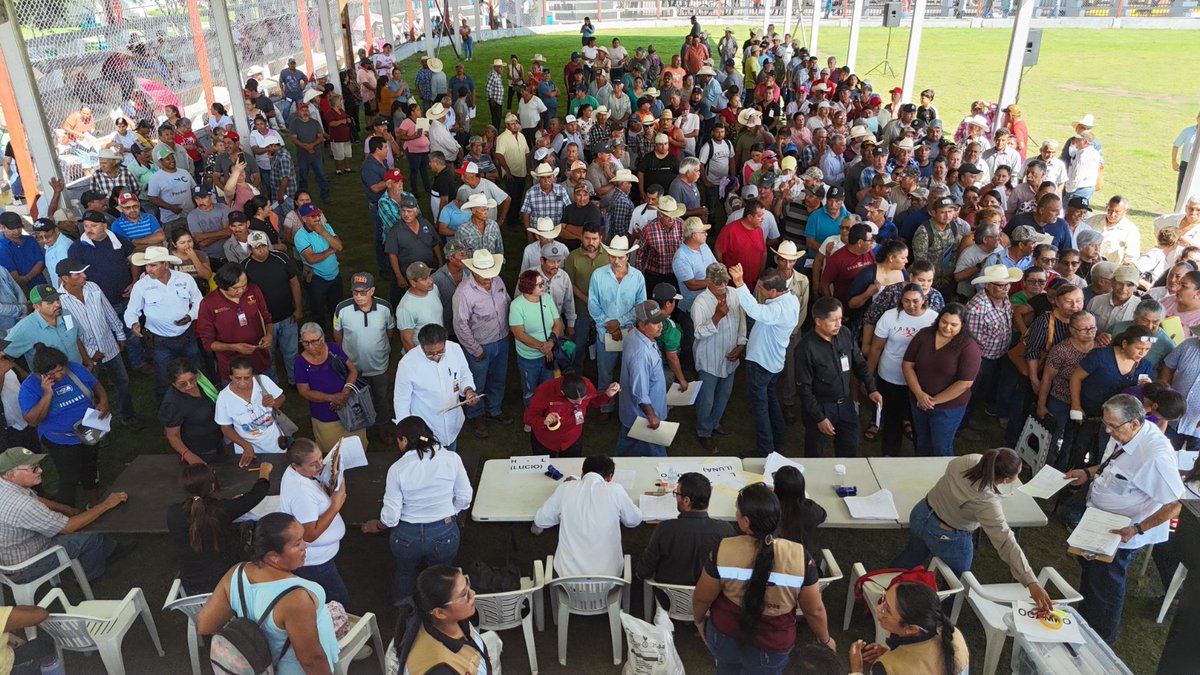 TvAstronoticias's tweet photo. Entrega Gobierno de Tamaulipas 662.5 toneladas de fertilizante a productores de caña
#Tamaulipas #ElMante #Tampico #cdvictoria #Altamira #ciudadmadero #Reynosa #Matamoros #Xicotencatl #NLD #RioBravo #ValleHermoso #NuevoLeon #UANL
⬇Enlace
https://t.co/a1etpGiphb https://t.co/fIvTixdXGQ
