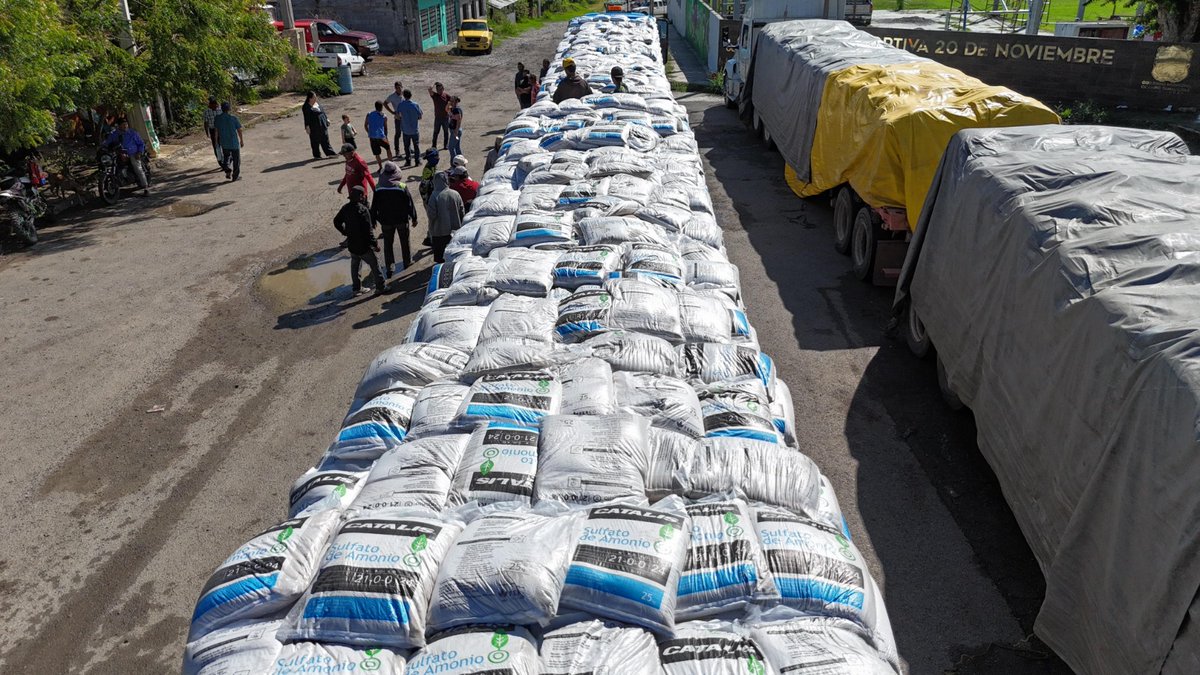 TvAstronoticias's tweet photo. Entrega Gobierno de Tamaulipas 662.5 toneladas de fertilizante a productores de caña
#Tamaulipas #ElMante #Tampico #cdvictoria #Altamira #ciudadmadero #Reynosa #Matamoros #Xicotencatl #NLD #RioBravo #ValleHermoso #NuevoLeon #UANL
⬇Enlace
https://t.co/a1etpGiphb https://t.co/fIvTixdXGQ