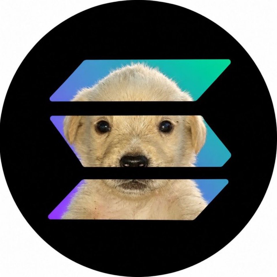 xTomIV's tweet photo. @Darky1k $Jotchua 100%!!! https://t.co/7jiVokyHsq