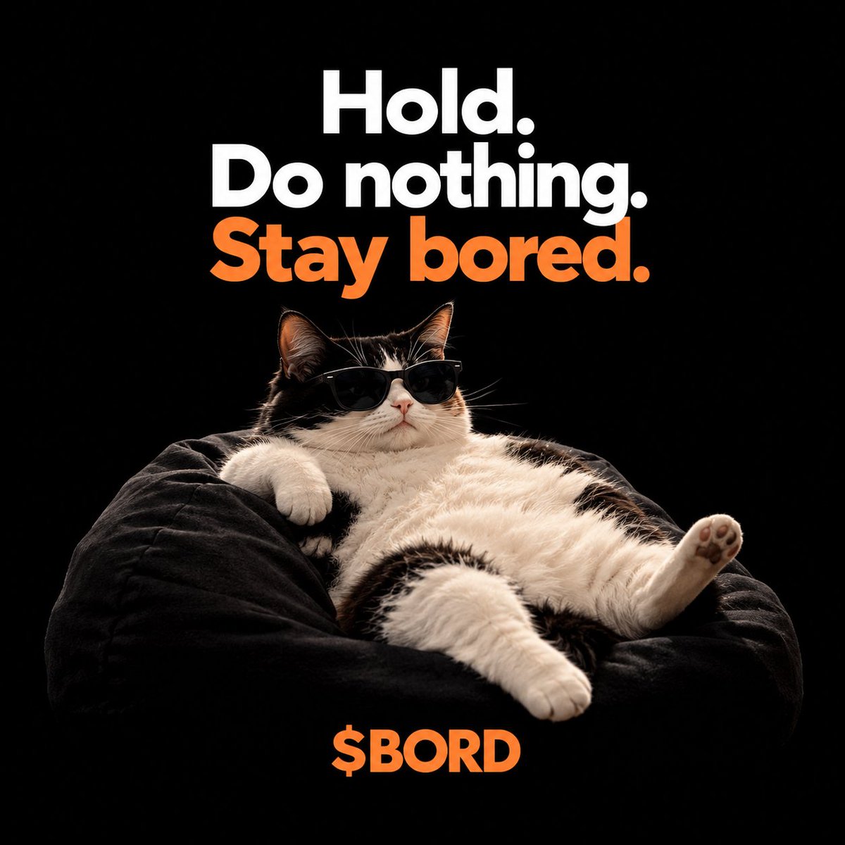 BORED_CATSOL's tweet photo. just $BORD https://t.co/t0JZ0mU3kW