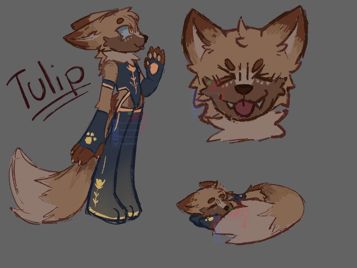 ScottishDummy's tweet photo. not Sonic related, don’t have anything yet but here is my fox OC Tulip! :D

#OCart https://t.co/uaxez7FbPJ
