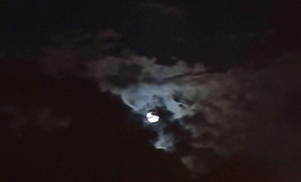 _11dl's tweet photo. #قمر_الليله
هو القّمر خجلان او الغُيوم تغَار 🤍 ؟ . https://t.co/ta3lhVv9RH