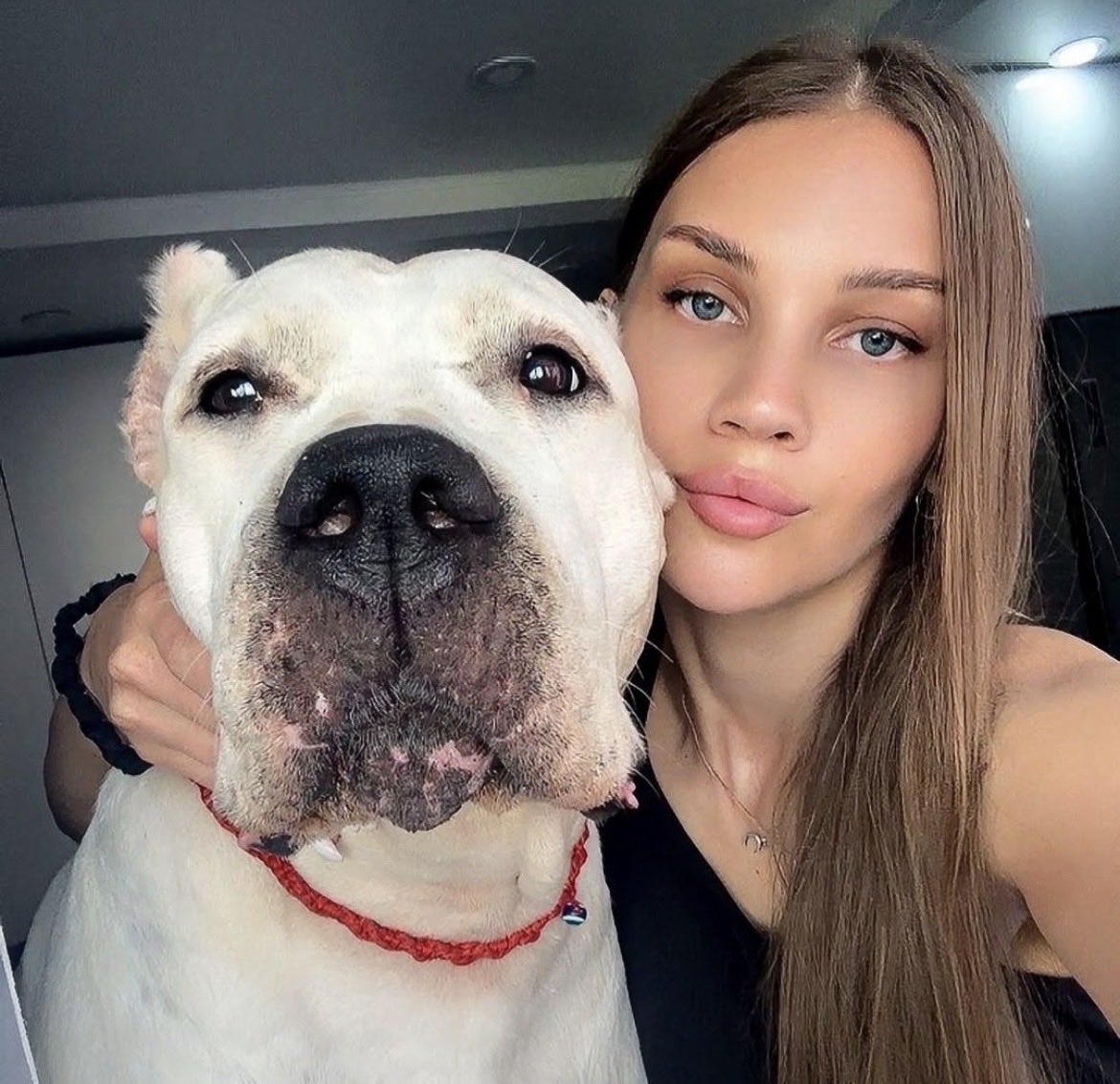 beyzademirel4's tweet photo. This is what I can show.
What happens when he knots me stays private.
Link in bio
#dogs #K9 #USA https://t.co/egswGUITnX