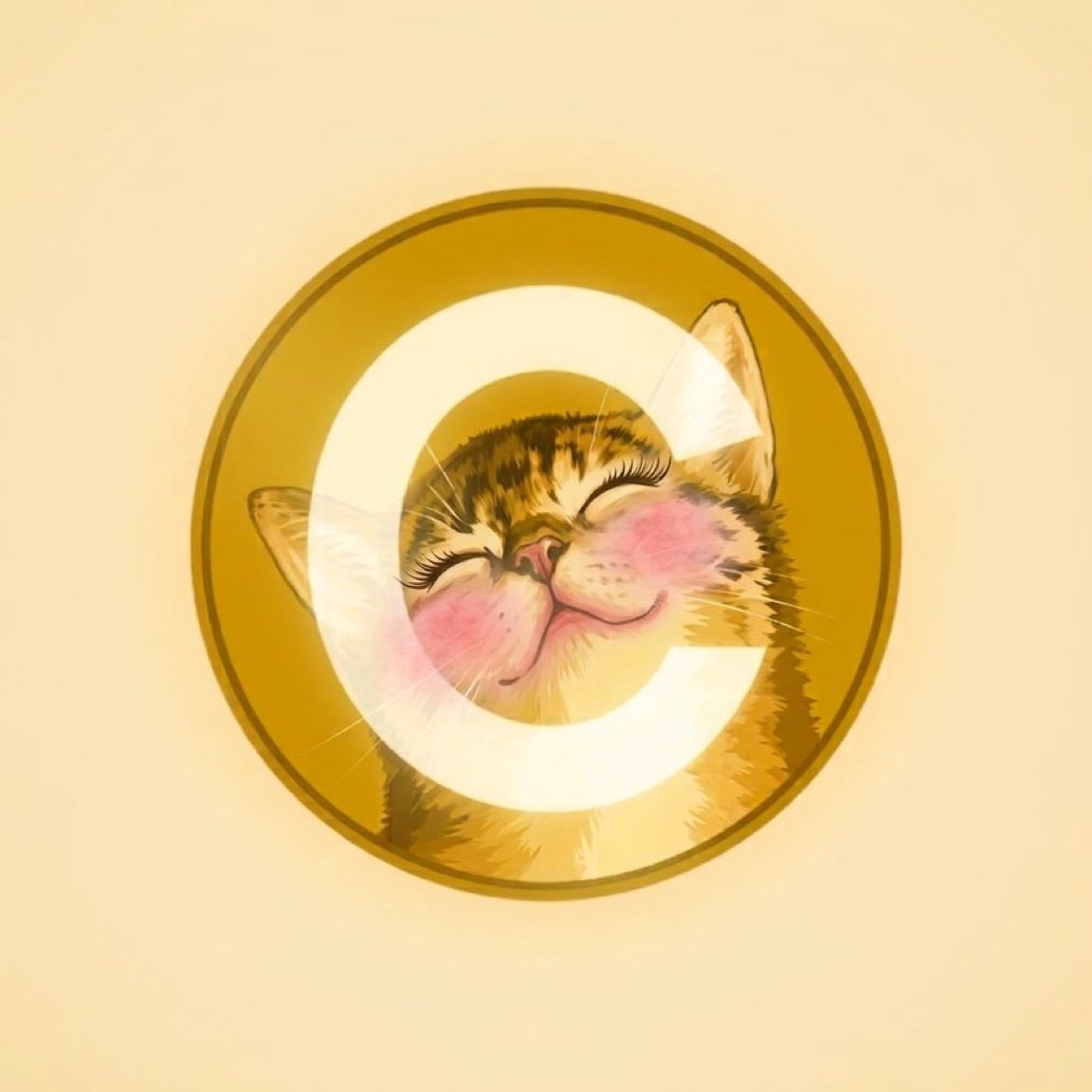 Geoffo07's tweet photo. 🐱 $CATACOIN IS LIVE ON https://t.co/vHE8XWla6R!

🐾 CA: 3xG8Qyk2jKfMT9xWHs3Sj8gxikn8z5nuUj19Kkr7pump

TG: https://t.co/sMPAqpJkde  
#Solana #PumpFun #CATACOIN #CATE #SOL https://t.co/YOdOyokcid