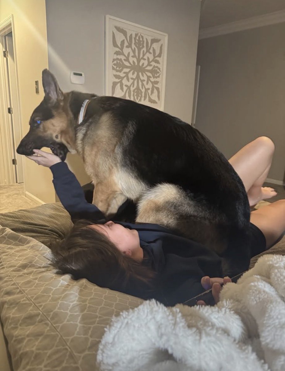 beyzademirel4's tweet photo. This is the gentle side.
Private is pure dog-knotting deep, locked, and messy.
Link in bio
#dogs #K9 #USA https://t.co/uG6Jng0Qtz