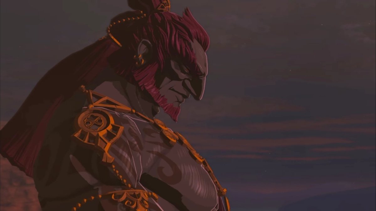 DailyGanondorf's tweet photo. https://t.co/uC3ofcJgnn