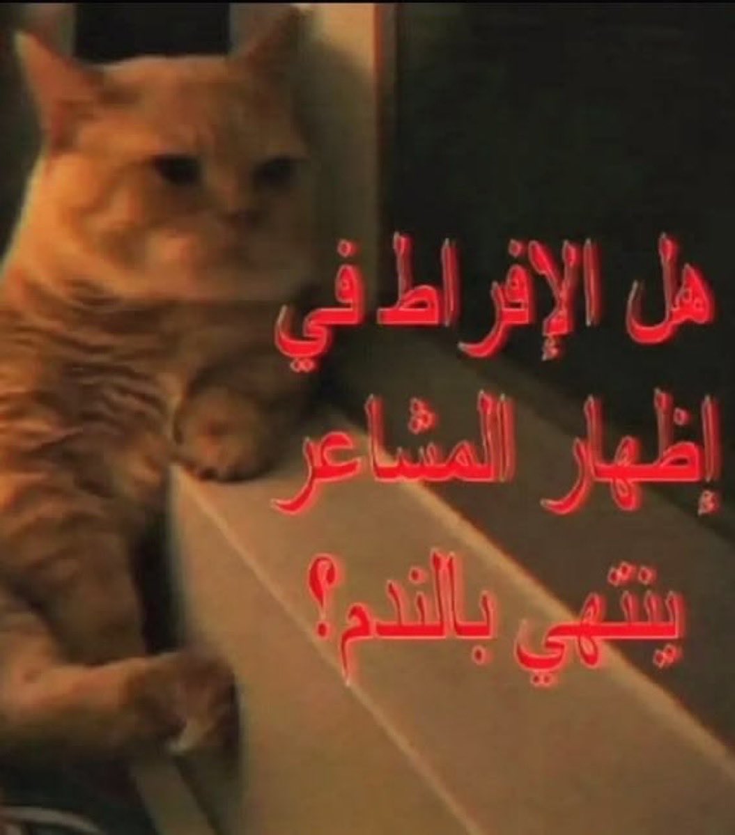 ____meww's tweet photo. https://t.co/uZeKujlrBg