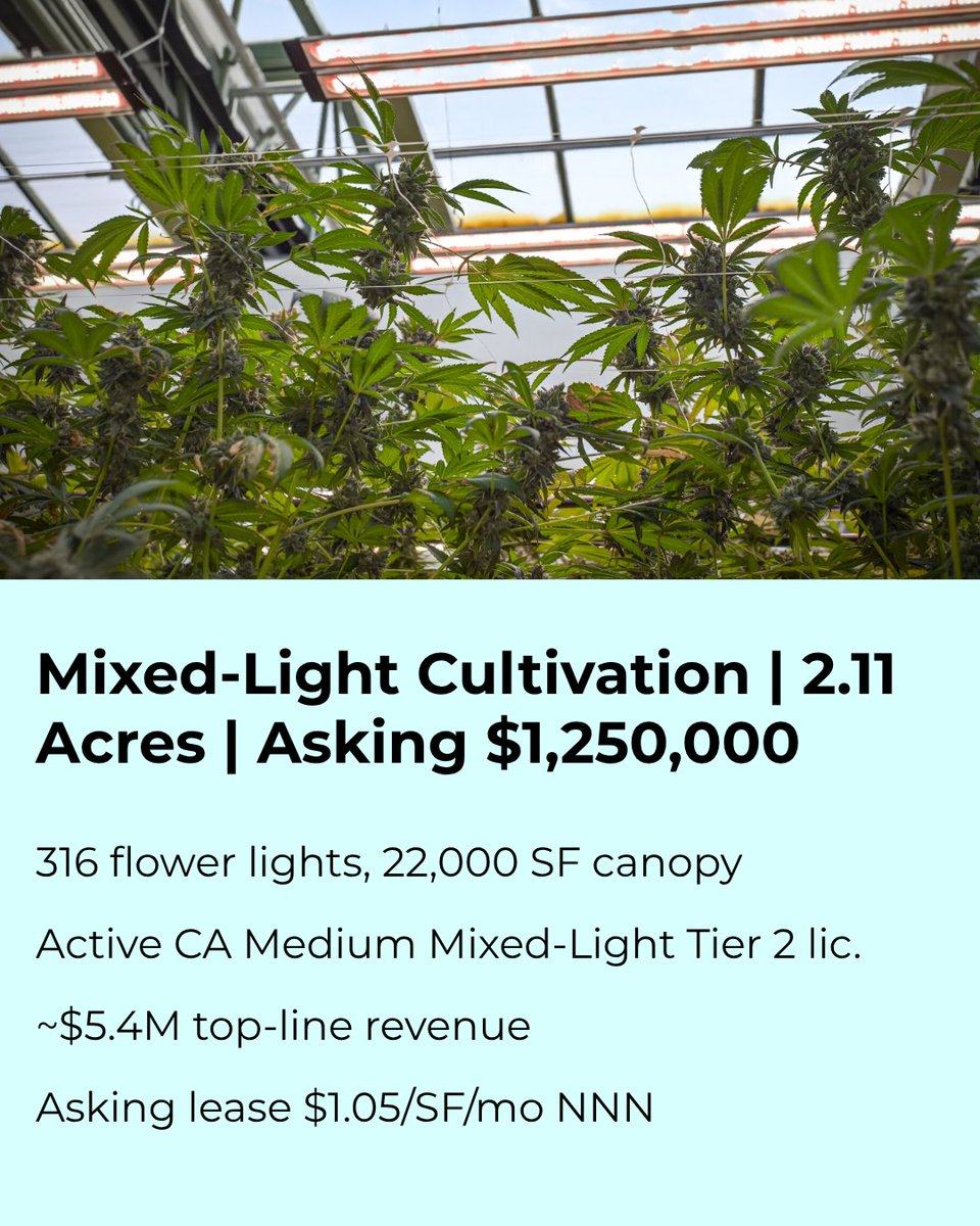 pacgarden's tweet photo. Looking to expand mixed-light cultivation capacity in Southern California?

7,000+ lbs./yr | $5.4M revenue | $400K–$500K adj. EBITDA | $1.25M ask | 22,000+ SF canopy | 300+ flower lights | R&amp;D + dry/trim | 2,400A 3-phase power | New lease $1.05/SF NNN

https://t.co/pBpCxbRhmV https://t.co/7sxQfD7QD3