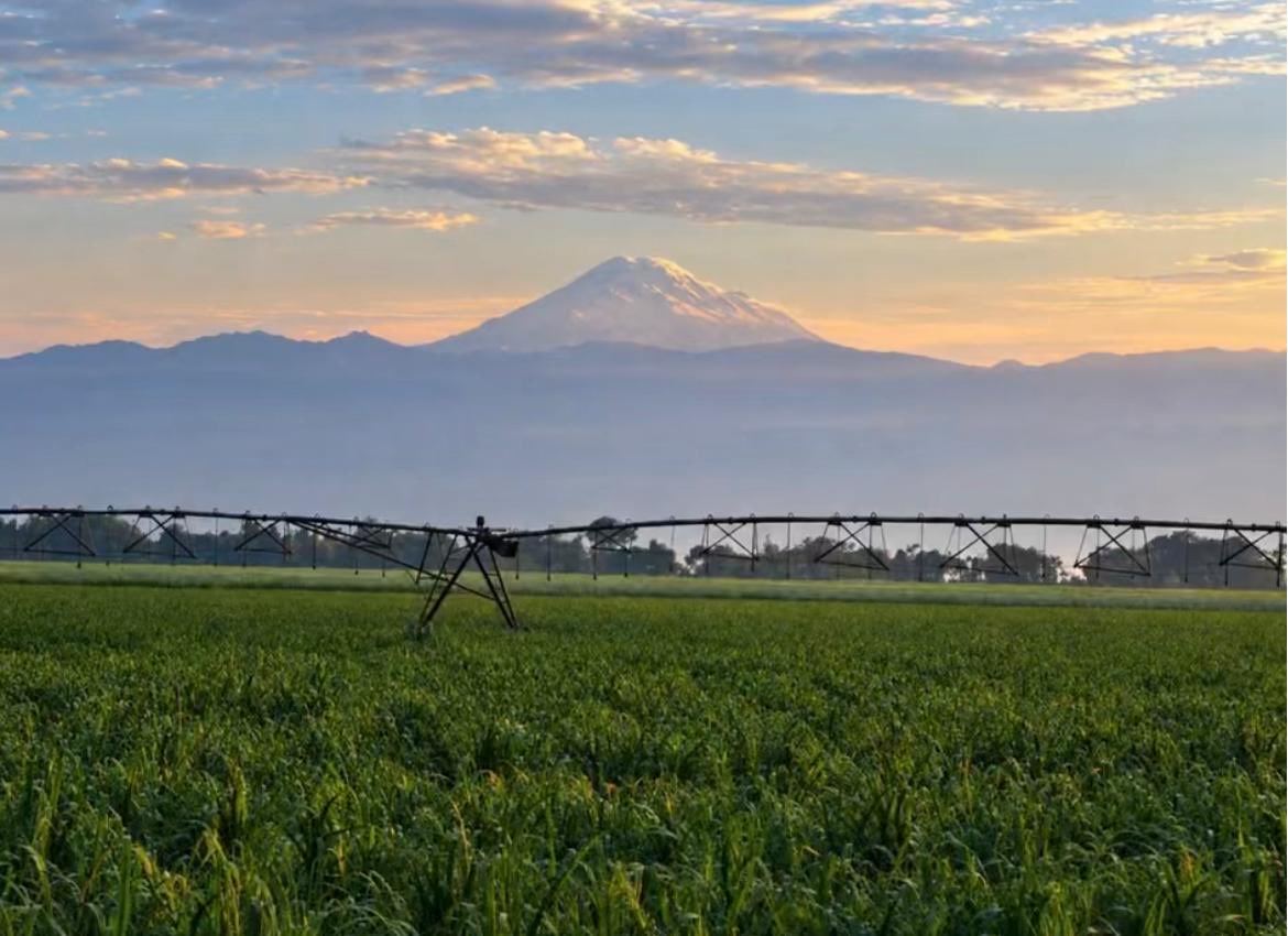 JBons98705's tweet photo. Está mi tierra linda el Ecuador. Tiene de todo !!!!!!! https://t.co/DTKpXQgRxL