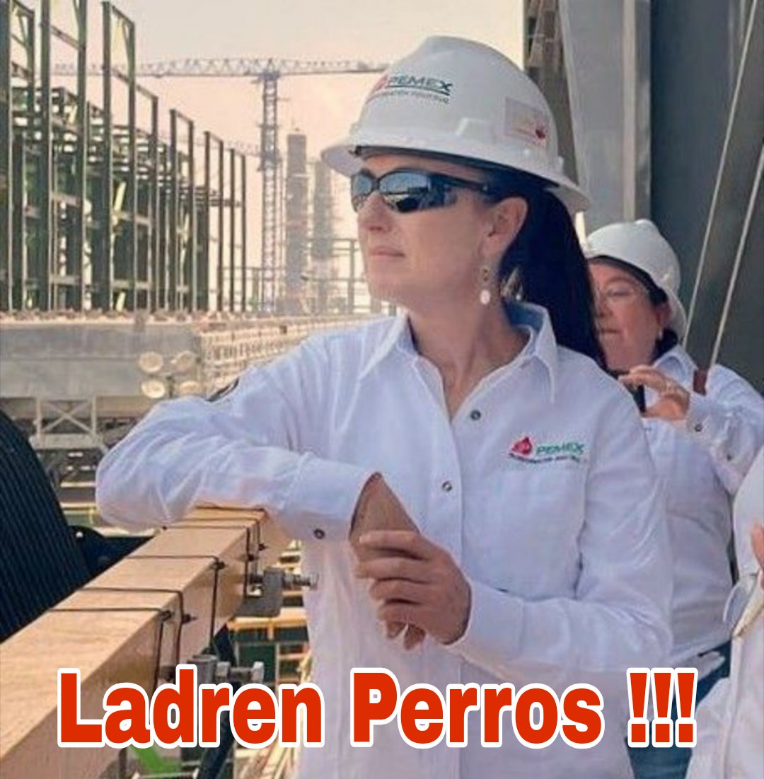 FranXxuji's tweet photo. @MLopezSanMartin @audelinomacario https://t.co/HQ369YgUew