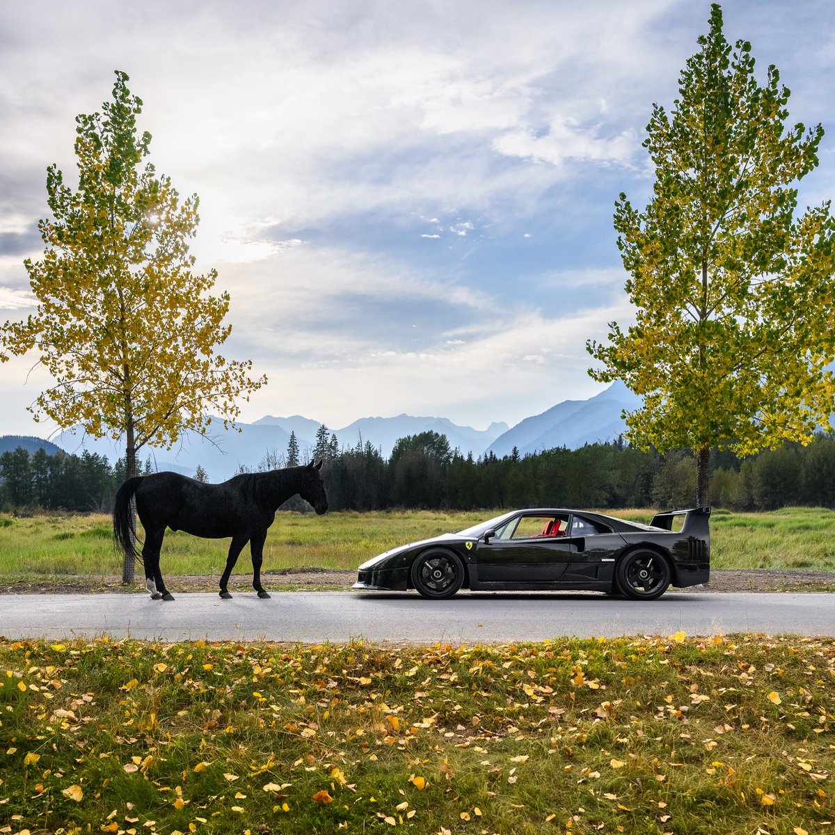 ApexDistrictX's tweet photo. The Prancing Horse🖤 https://t.co/hAhdPk014k