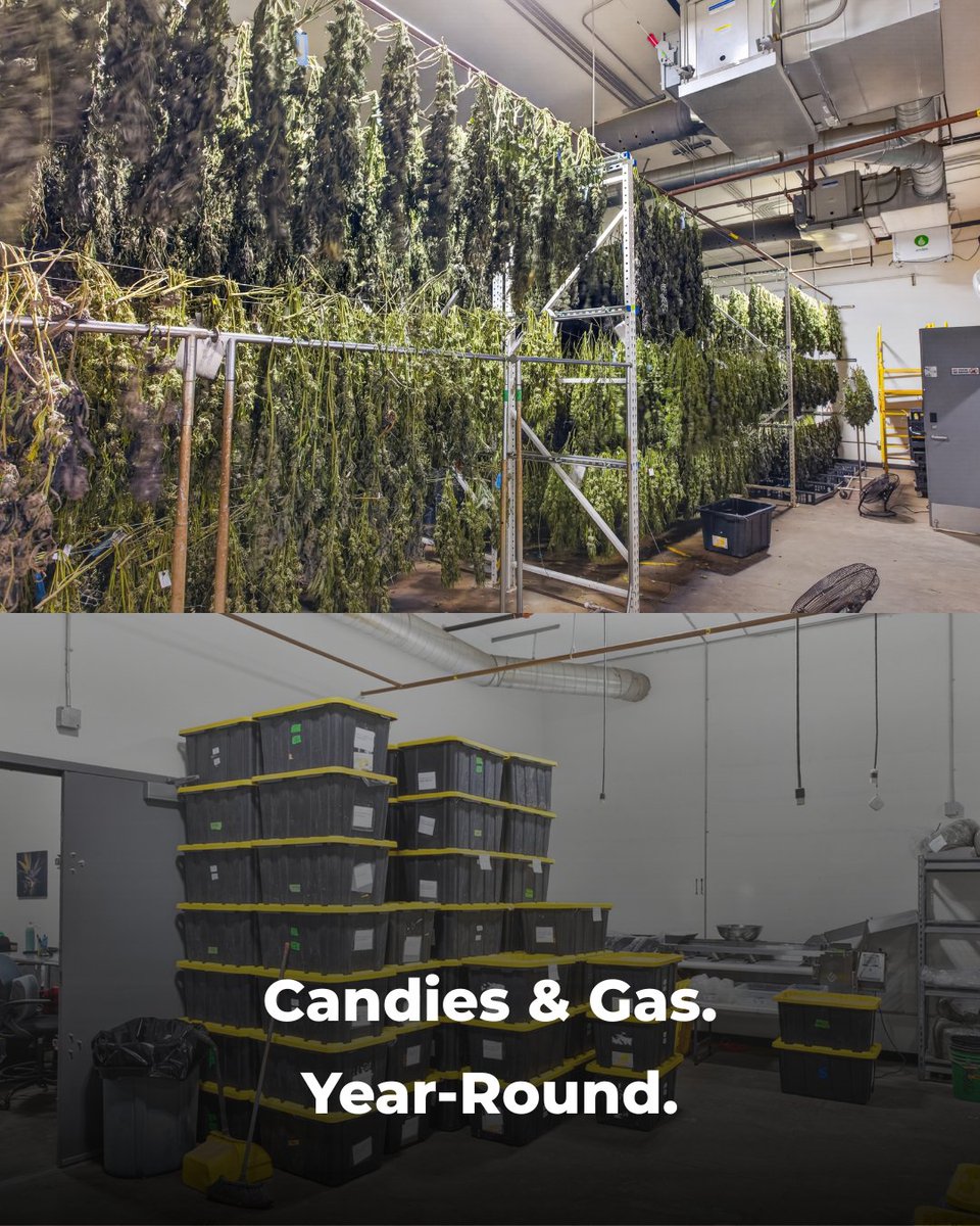pacgarden's tweet photo. Looking to expand mixed-light cultivation capacity in Southern California?

7,000+ lbs./yr | $5.4M revenue | $400K–$500K adj. EBITDA | $1.25M ask | 22,000+ SF canopy | 300+ flower lights | R&amp;D + dry/trim | 2,400A 3-phase power | New lease $1.05/SF NNN

https://t.co/pBpCxbRhmV https://t.co/7sxQfD7QD3