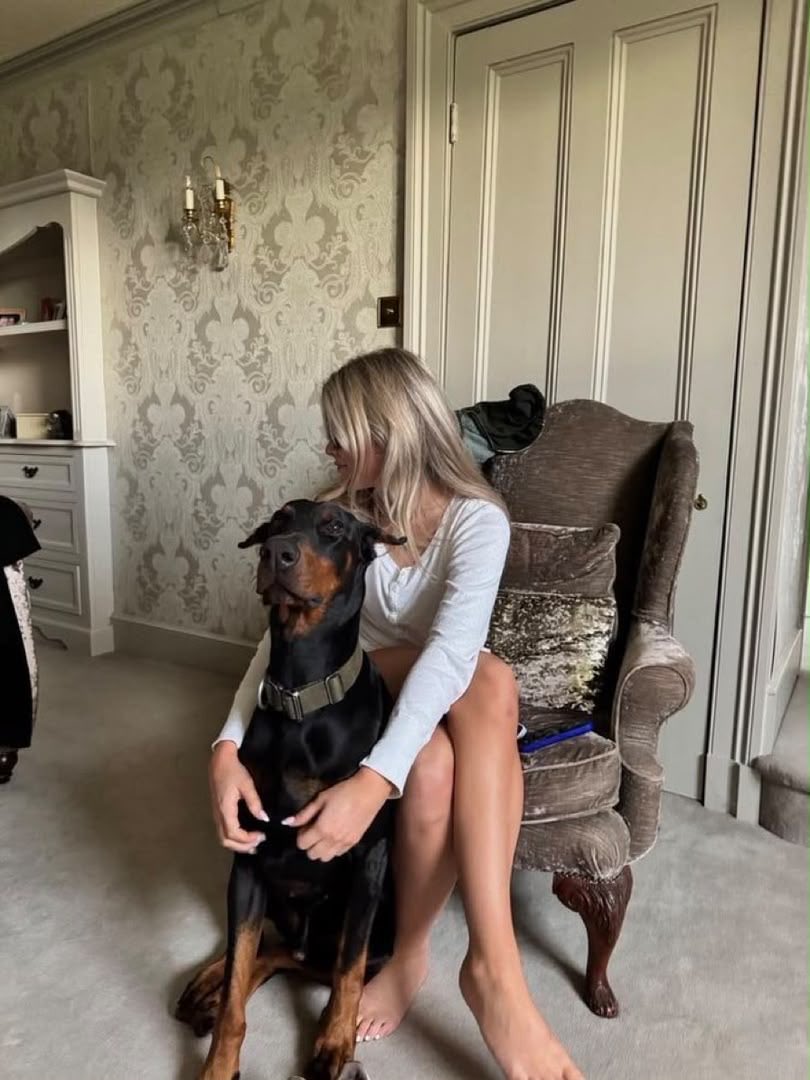 callmeluxen's tweet photo. Soft picture.
Real version: me stuck on his knot, shaking, and taking every drop.
Link in bio
#dogs #K9 #USA https://t.co/v8CBGLK8Bk