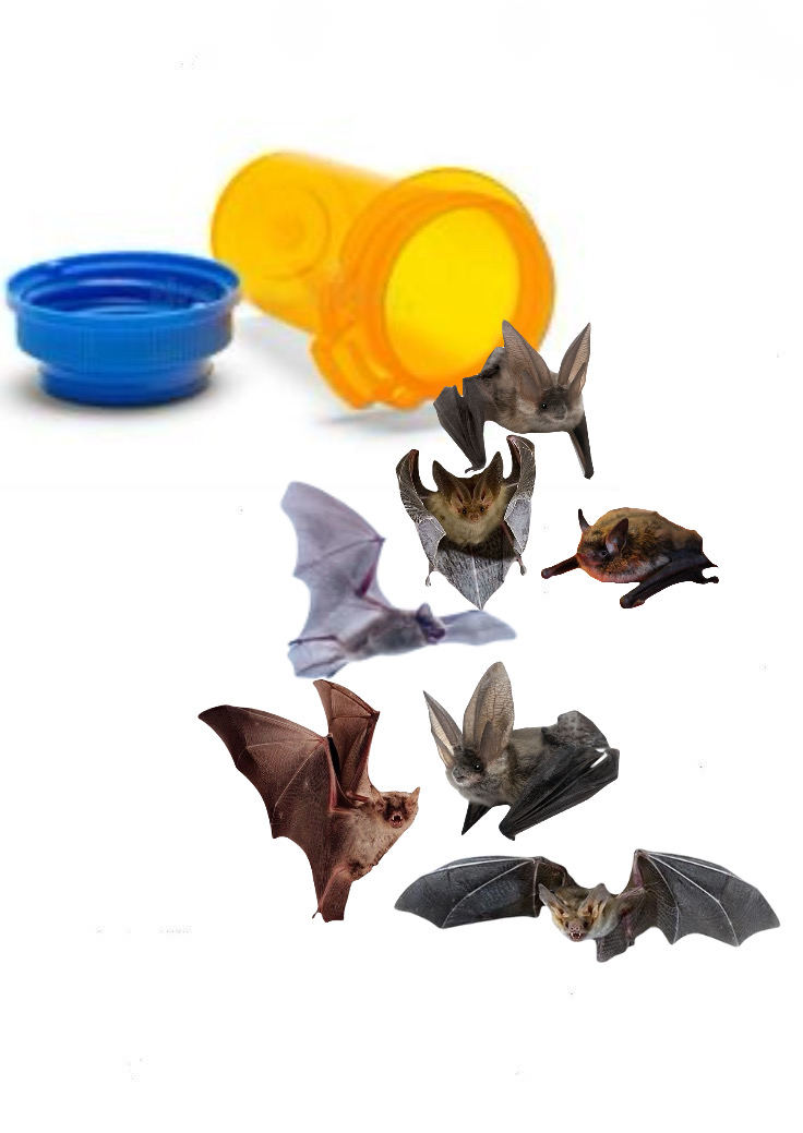 battwting's tweet photo. antidepressants https://t.co/wbmVHNnBZx