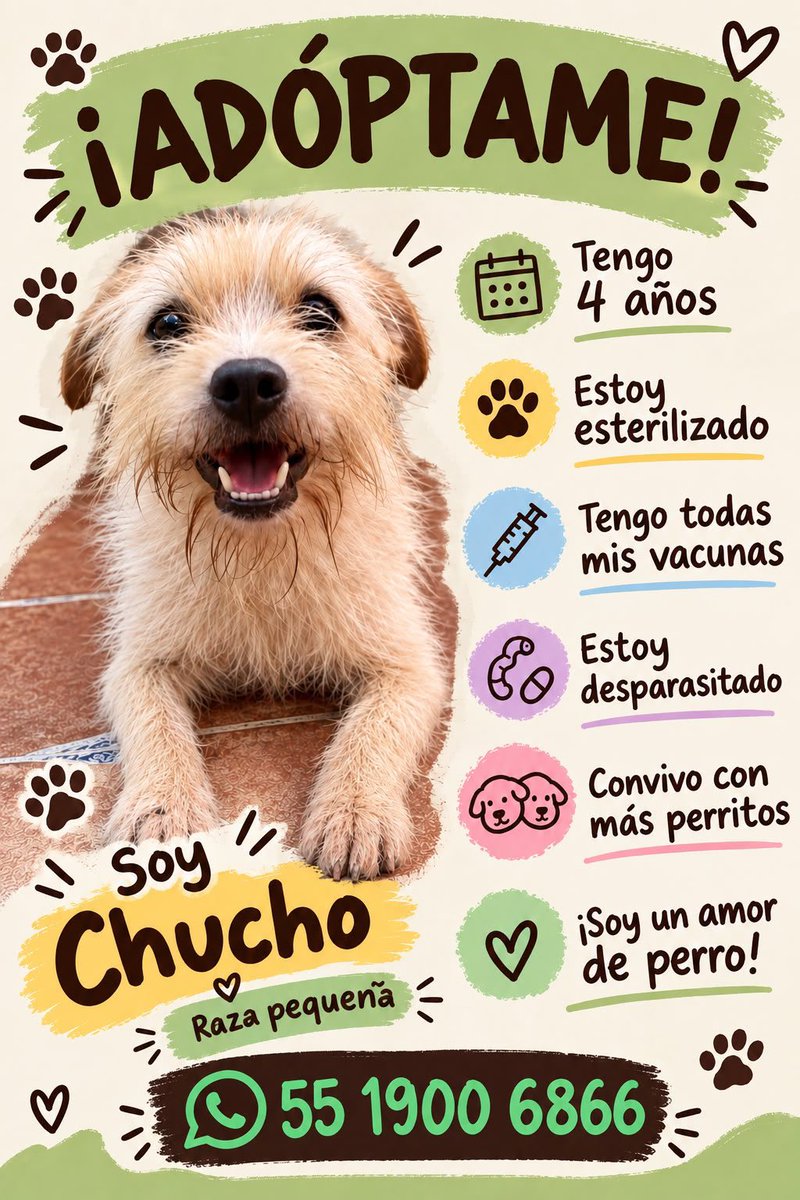 HELA_MORE's tweet photo. En adopción.
Informes al teléfono del cartel.🥰 https://t.co/0NujZEoJzq