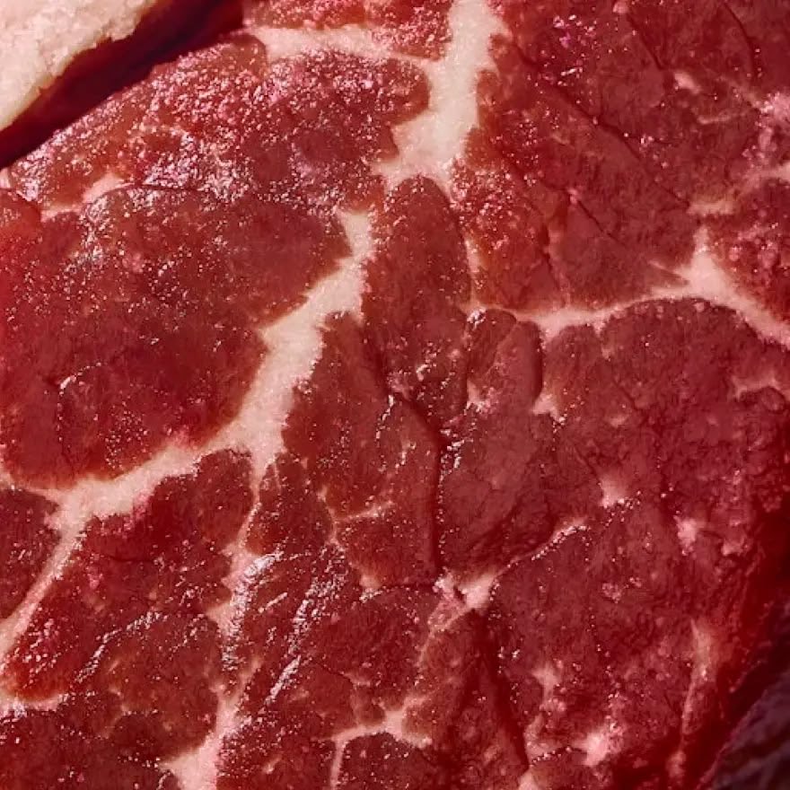 hellexxxe's tweet photo. A que sabrá la carne humana? https://t.co/TaC2BNpAta