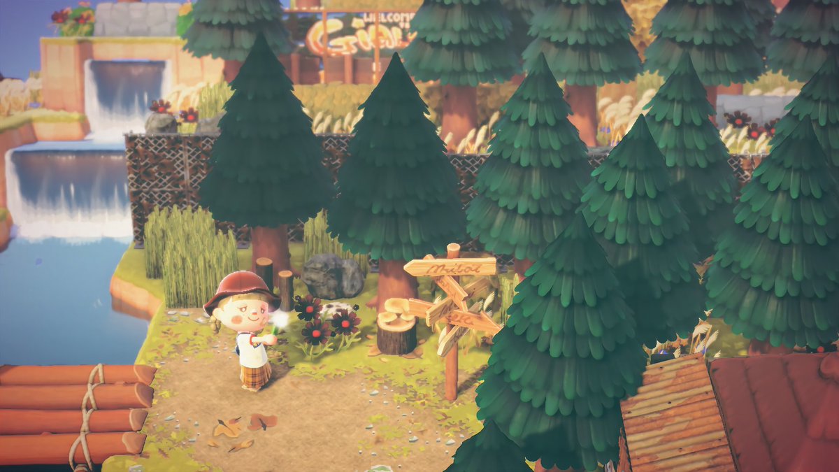 KKatCosmicCove's tweet photo. Doing a little exploring on ⭐Giallo⭐

#acnh #acnhinspo #ACNH #AnimalCrossing #ACNHDesign #AnimalCrossingNewHorizons #どうぶつの森 https://t.co/zbc6owuc2U