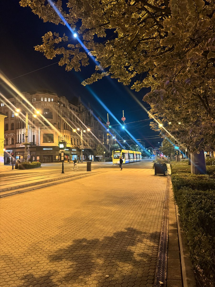 alt_untold's tweet photo. Somewhere between the golden glow of the city and the quiet rhythm of the night, life feels a little more beautiful ✨🌃 #TGIF https://t.co/bLnMrS5mjk