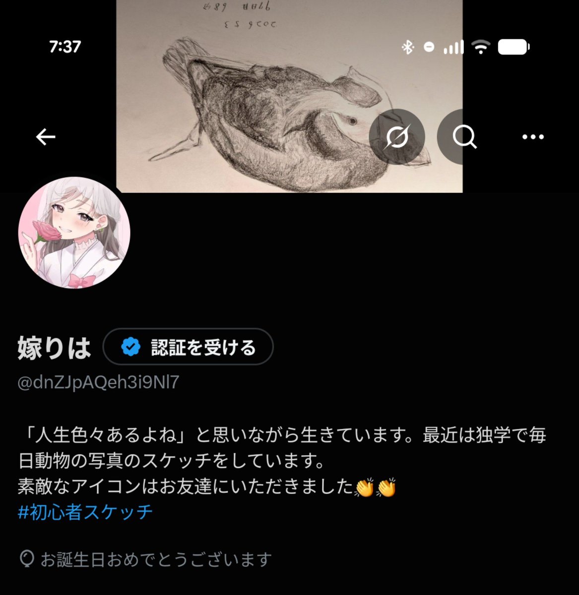 dnZJpAQeh3i9Nl7's tweet photo. ？
風船飛ばなくなった？？？？ https://t.co/QUX68STds6