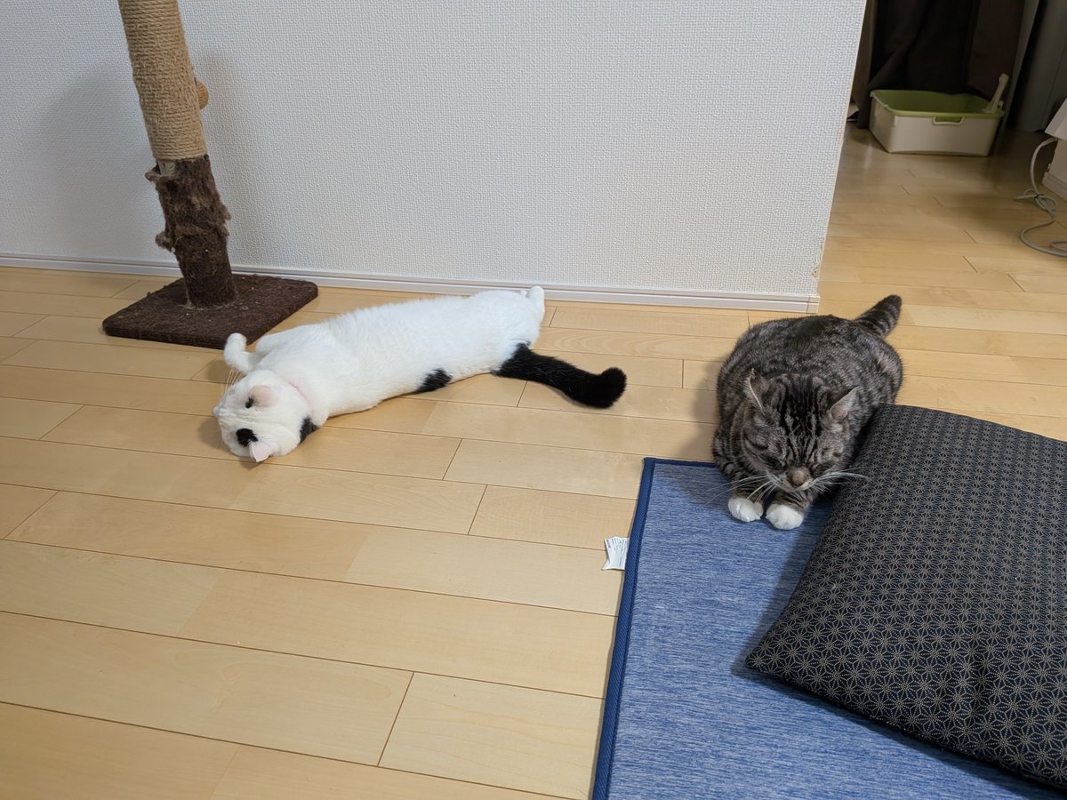 kero3death's tweet photo. 倦怠期の夫婦じゃあるまいし https://t.co/3WXpEj5Lu4