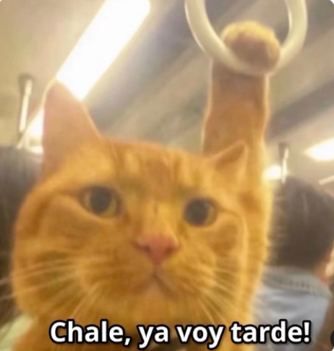 Martin8iz's tweet photo. otra vez... https://t.co/xcWFYtU88H