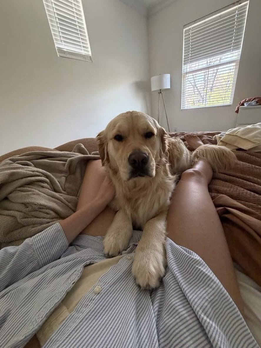 Cannibal_cupca's tweet photo. Dog mom ❤️ 
#k9
#doglovers
#dogmom 

https://t.co/RObDN6HTxy https://t.co/BCxVLK7jCk