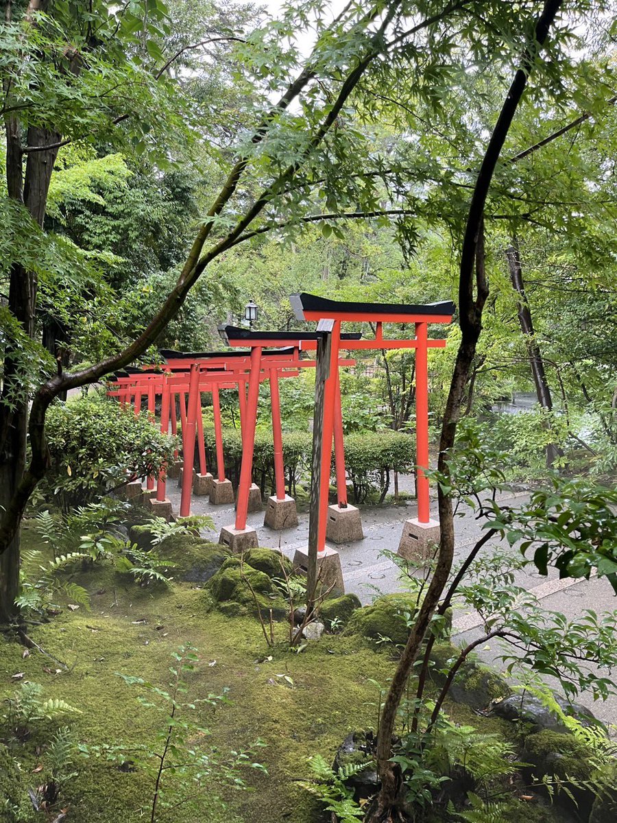kanazawa_shrine's tweet photo. おはようございます😊
週末の土曜日です♪
ゆっくり過ごす1日なんていいかもしれませんね✨
いってらっしゃい😊 https://t.co/wp9dAjilrl