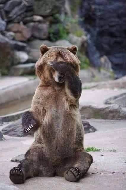 333too3's tweet photo. You be gone when I lift my paw.... https://t.co/dtTNxHE5HB