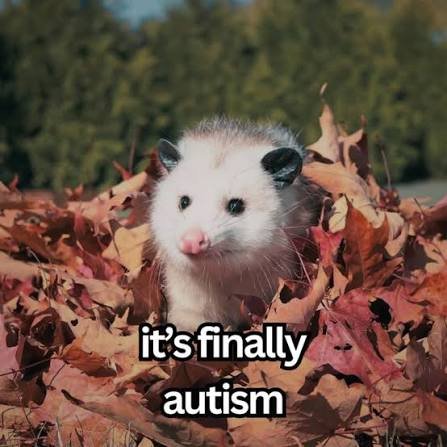 XyroIsMyName's tweet photo. It's albi autumn https://t.co/DmBAUyyviR