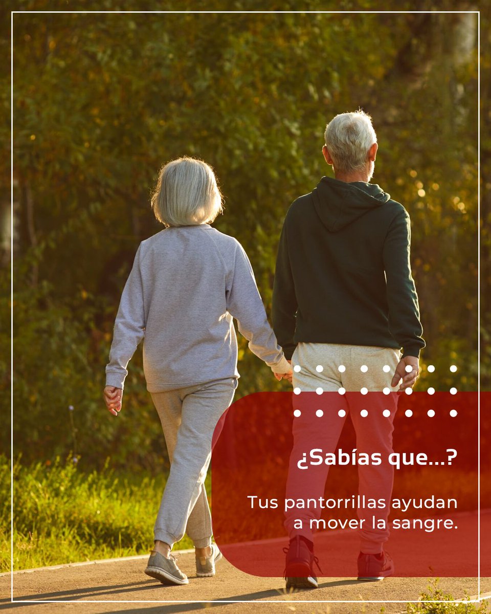 MedicVascular's tweet photo. Cada vez que caminas, los músculos de tus pantorrillas ayudan a impulsar la sangre hacia el corazón.

Por eso, mover tus piernas durante el día es importante. 🚶

#SabíasQue #SaludVascular #MédicaVascular https://t.co/Vy4DgqiDW4