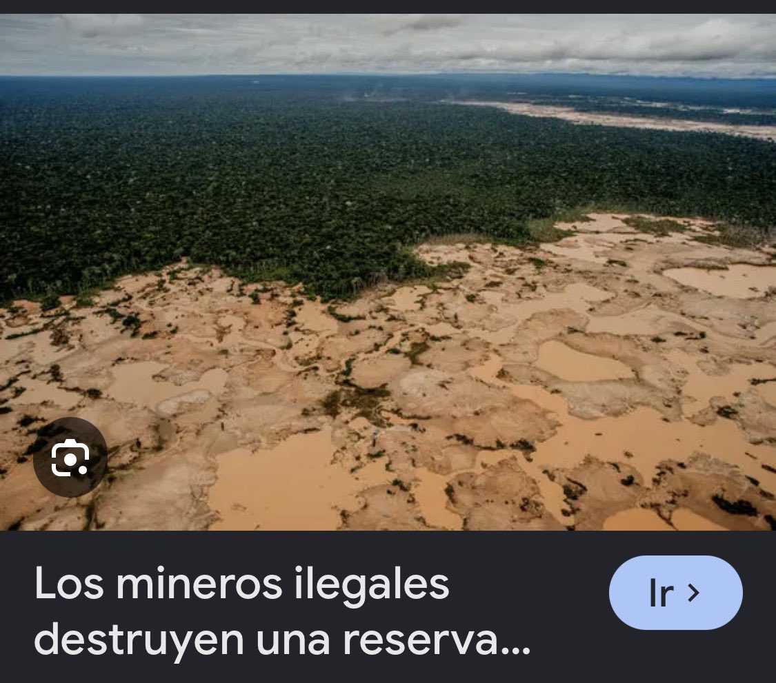 Reaccion__Peru's tweet photo. @iber_maravi La minería ilegal devasta la selva y contamina. Este va a ser el primero en votar a favor de ampliación de las licencias REINFO. La hipocresía manipulación y mentira que manejan estas personas que no merecen representar al país. https://t.co/Q6xNymabZS