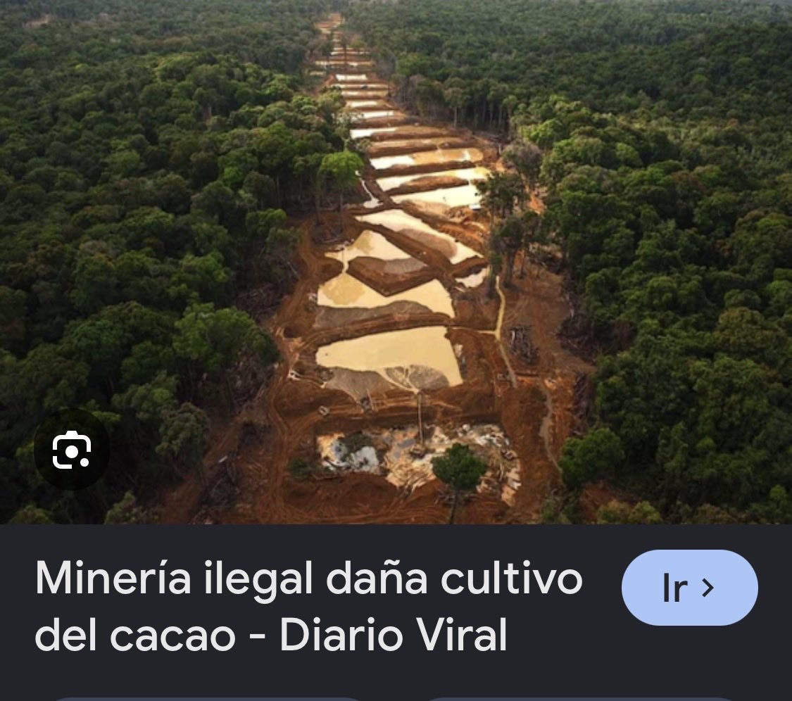 Reaccion__Peru's tweet photo. @iber_maravi La minería ilegal devasta la selva y contamina. Este va a ser el primero en votar a favor de ampliación de las licencias REINFO. La hipocresía manipulación y mentira que manejan estas personas que no merecen representar al país. https://t.co/Q6xNymabZS