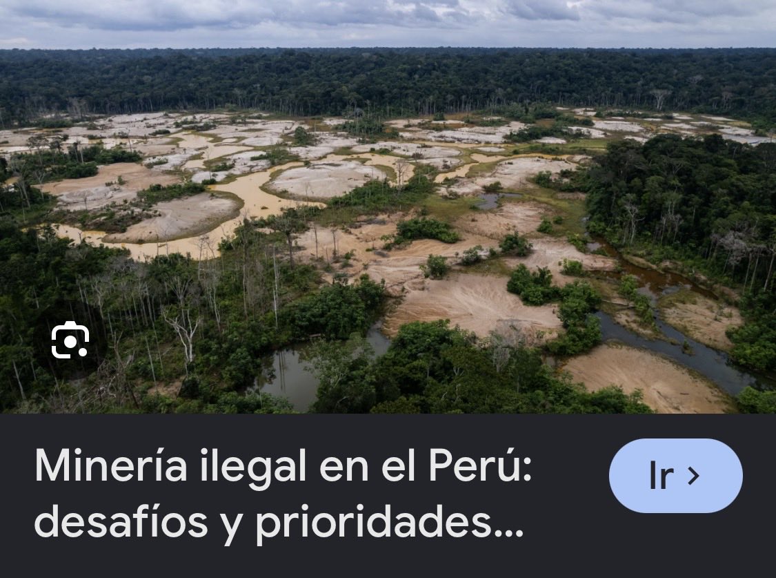 Reaccion__Peru's tweet photo. @iber_maravi La minería ilegal devasta la selva y contamina. Este va a ser el primero en votar a favor de ampliación de las licencias REINFO. La hipocresía manipulación y mentira que manejan estas personas que no merecen representar al país. https://t.co/Q6xNymabZS