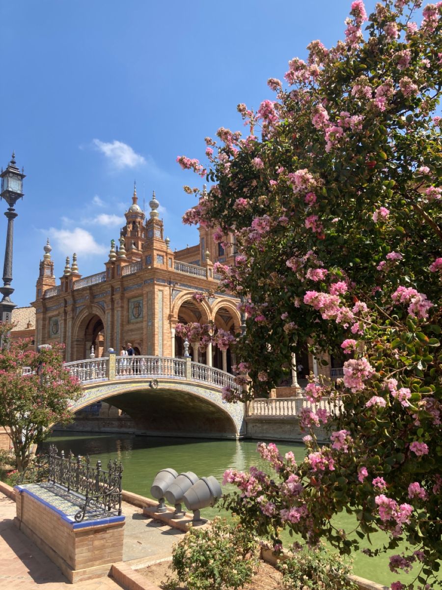 greenvibe's tweet photo. sevilla spain https://t.co/fp9lkHh0p3