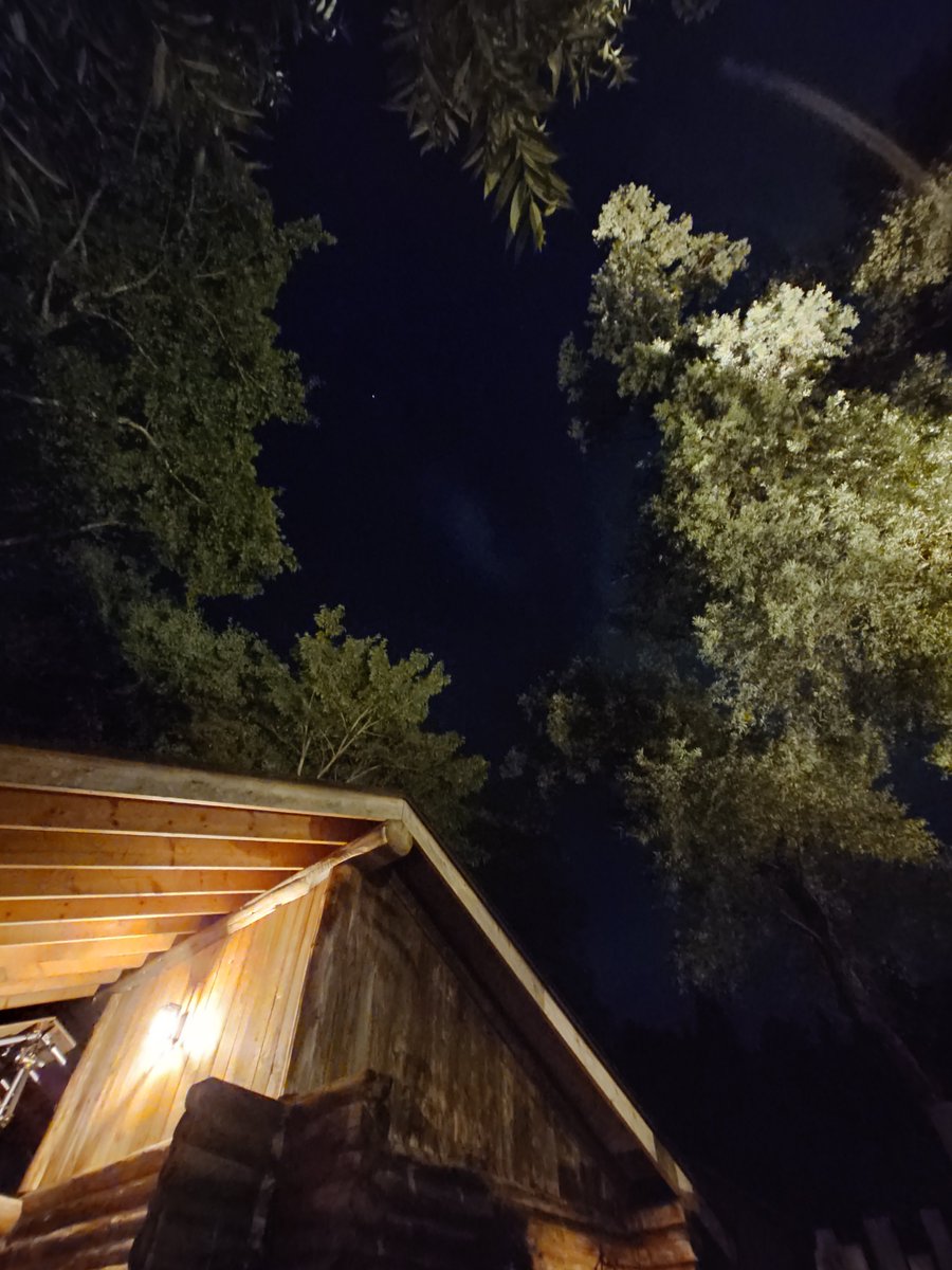 topofgesu's tweet photo. 浮気したら��カンて。

Let’s Go SKのThe Sauna（長野県上水内郡信濃町）のサ活  2026年9月25日 - サウナイキタイ https://t.co/xeMFdDUgDJ https://t.co/IXBUkGAh3P