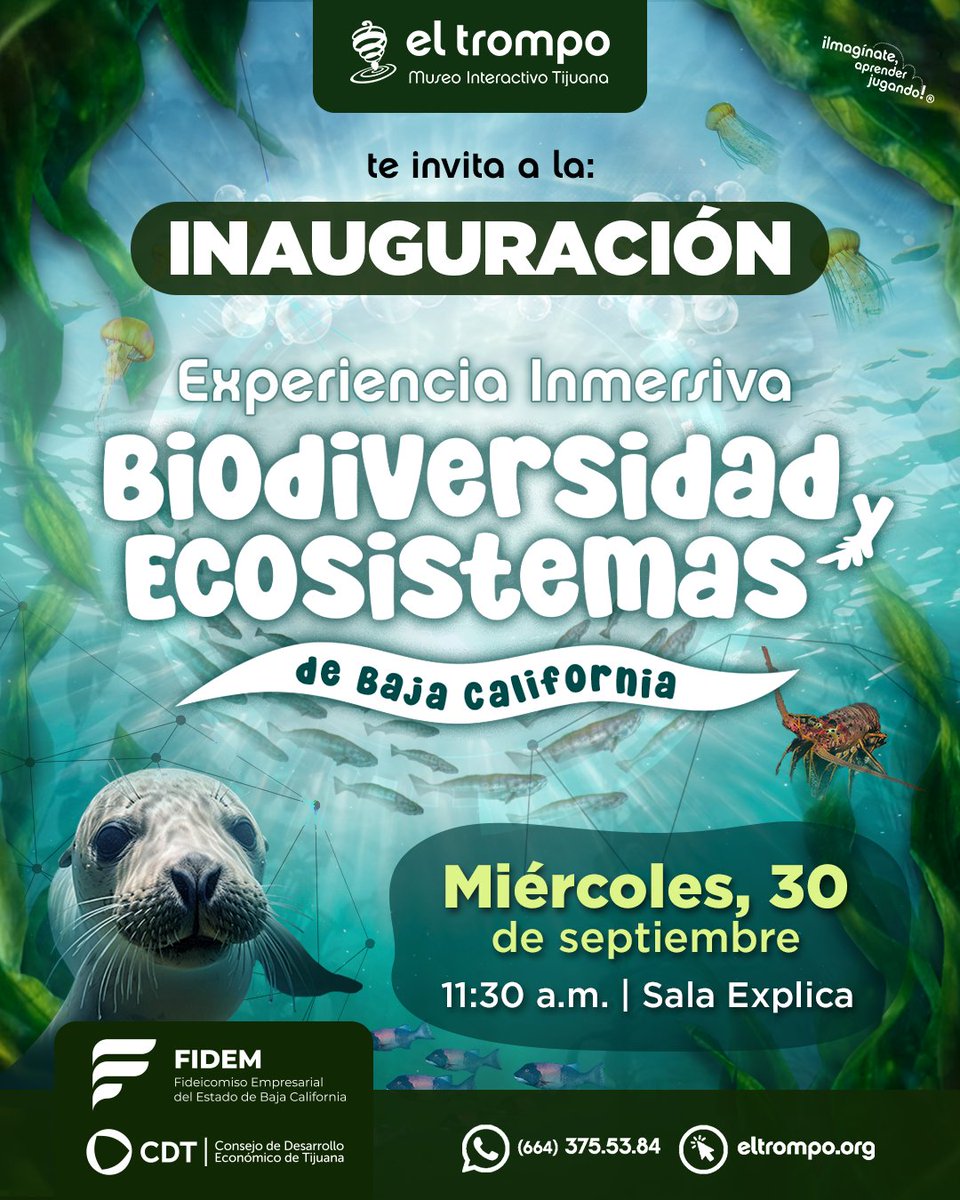 TrompoMuseo's tweet photo. 🌊Este 30 de septiembre inauguramos Biodiversidad y Ecosistemas de Baja California, una experiencia inmersiva para acercarte a la vida que habita nuestra región desde otra perspectiva.

A las 11:30 a.m. en Sala Explica. 🦭

#BiodiversidadBC #ElTrompo #BajaCalifornia #Tijuana https://t.co/72AlU9l9dP