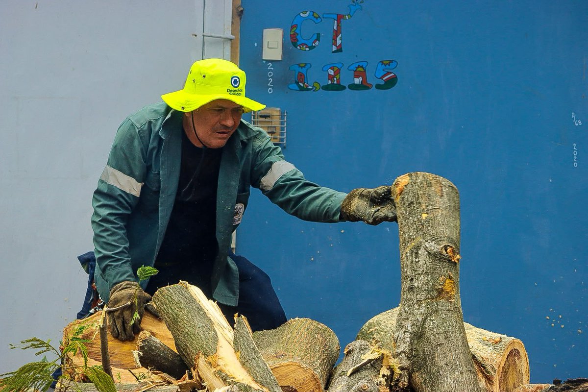 DesechoSolidos's tweet photo. Nuestros equipos de parques y zonas verdes activaron una intervención inmediata tras el colapso de un árbol sobre la 27 avenida norte, en la zona 2. 🚧

Este esfuerzo articulado nos permite dar una respuesta integral y oportuna en el territorio, en coordinación con la @alcaldia_ss. 🆘