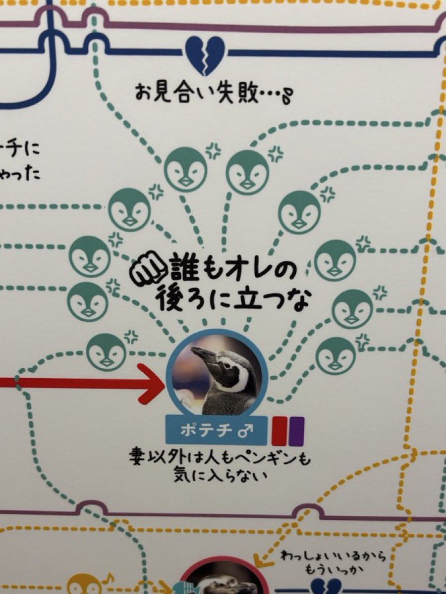wadaino_taikai's tweet photo. 水族館に行ったら、妻だけを溺愛する
氷の公爵様みたいなペンギンがいたwww https://t.co/HAR2YgSICn