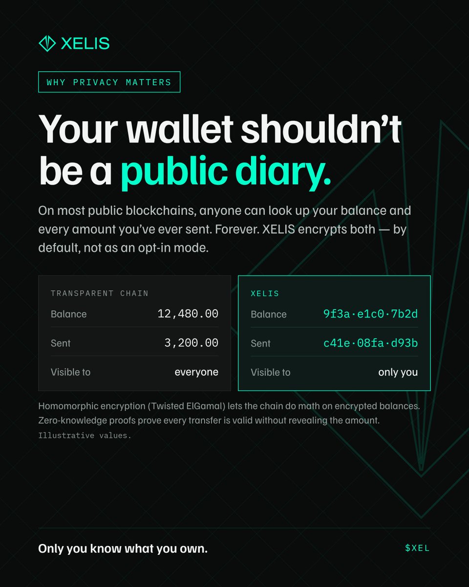 xelis_fans's tweet photo. Key Differences between Public and Private Chain below 👇
@xelis_project 👁
Vs Public chains 

$XEL $XMR $ZEC https://t.co/sBs6hCSPAc