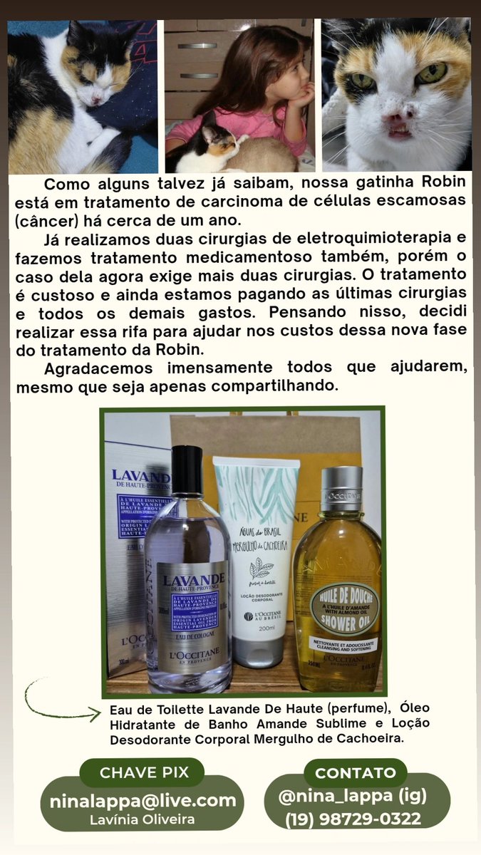 heronthornscore's tweet photo. amgs eu estou fazendo uma rifa pra ajudar a custear o tratamento de câncer da minha gatinha 💔 

agradeço quem puder ajudar, nem que seja com um rt! ela é minha vidinha, e eu não estaria pedindo se não fosse realmente importante para nós https://t.co/FOLN7ilnT0