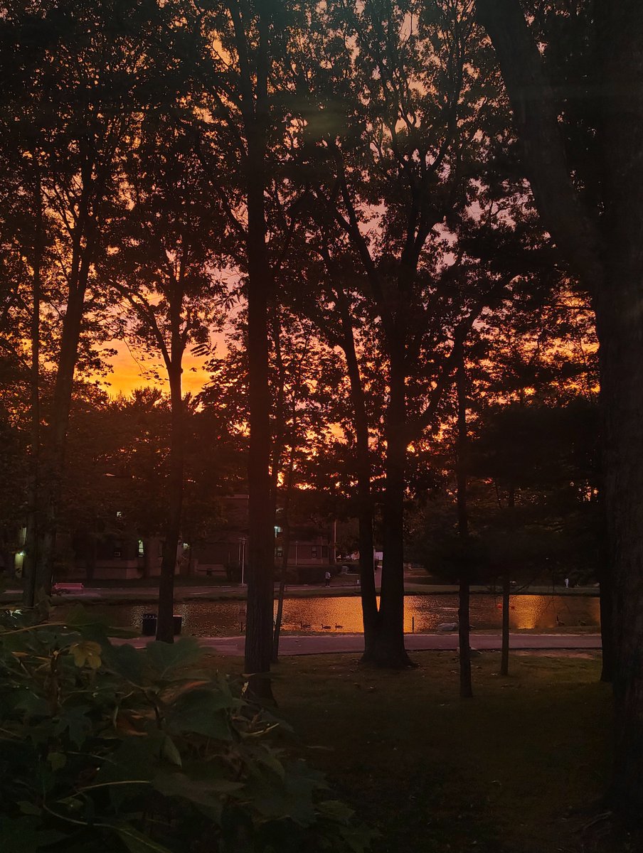 toesvcker's tweet photo. actually insane colors today .. the camera doesn't do it justice https://t.co/WTavh6FVW2