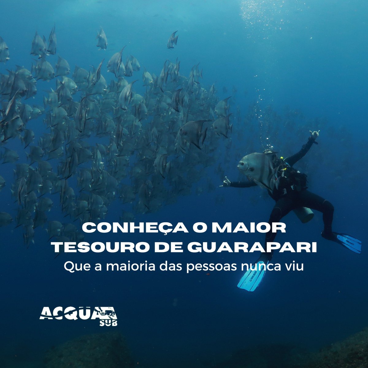 AcquaSub tweet picture