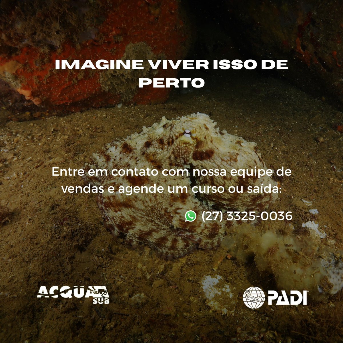 AcquaSub tweet picture