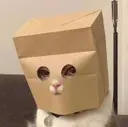 SatoshiMirage's tweet photo. @LevPo Is this the Zcat or is there a name for this zcash mascot? https://t.co/Tky0ui87YA